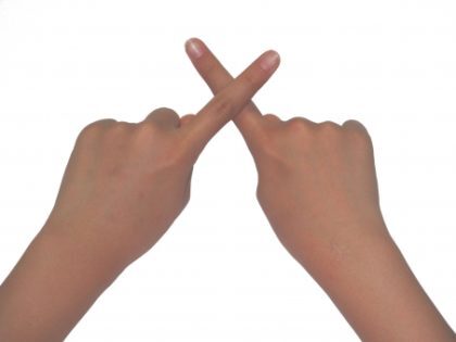 a5a62d2d130d683d2ce7af465ba6774b_t-420x315-8185754