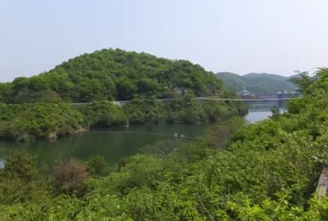 eab5a1fe1b25564c33f809c7f0f8536c_t-466x315-7744124