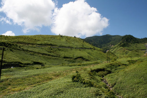 7154477594_f448d8036b_z-473x315-8937156
