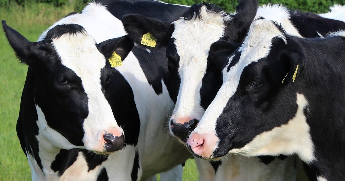 agriculture-2775830_1280-1200x630-2037844