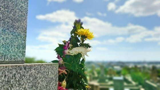 64d99b9244594ae7bbd1c263f51e31df_s-560x315-1-7962976
