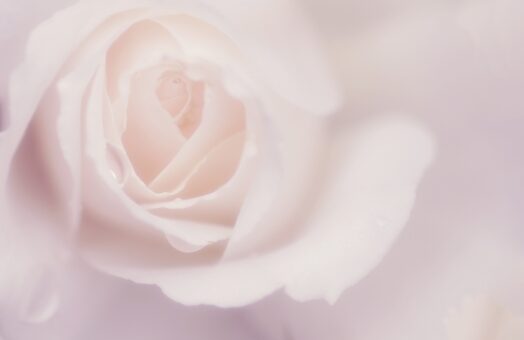 944533b98e05f3ed22fdc22a89f6ecfe_t-8309915