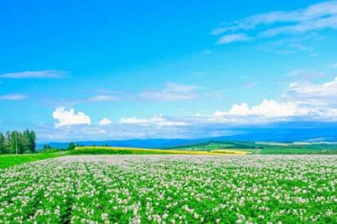 2a11051776d478f6efb64252927b681a_t-474x315-7361010