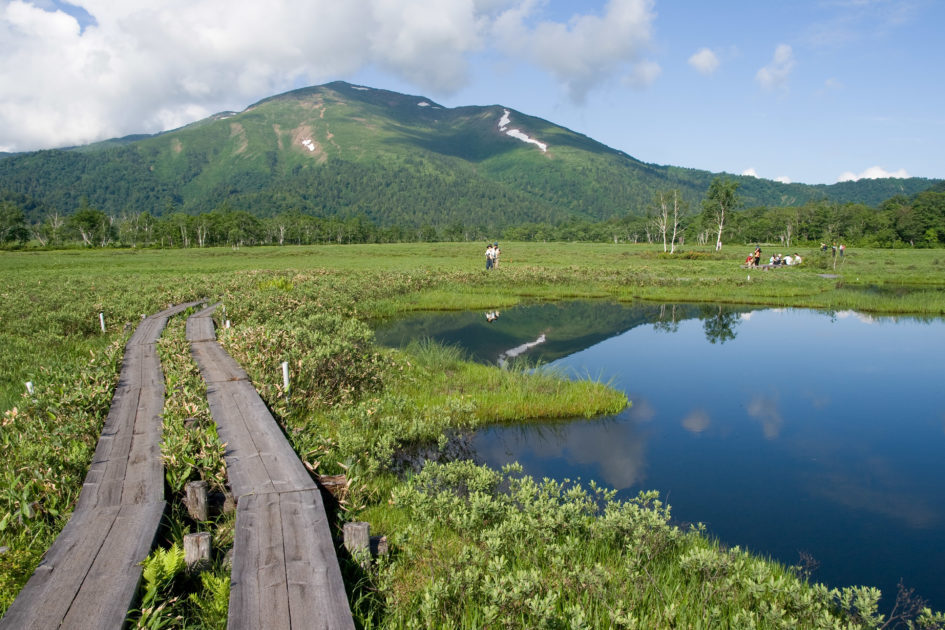 mt-shibutsu_16-945x630-4823344