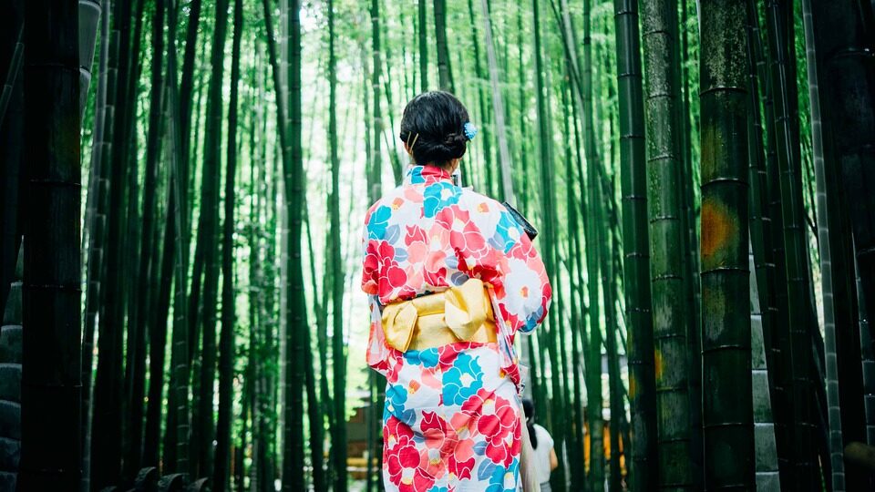 bamboo-trees-1853316_960_720-2680633