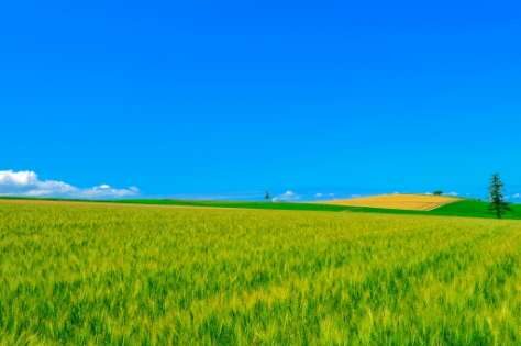 4680cf5c10ce8331c71811d5d41eb45d_t-474x315-8870112