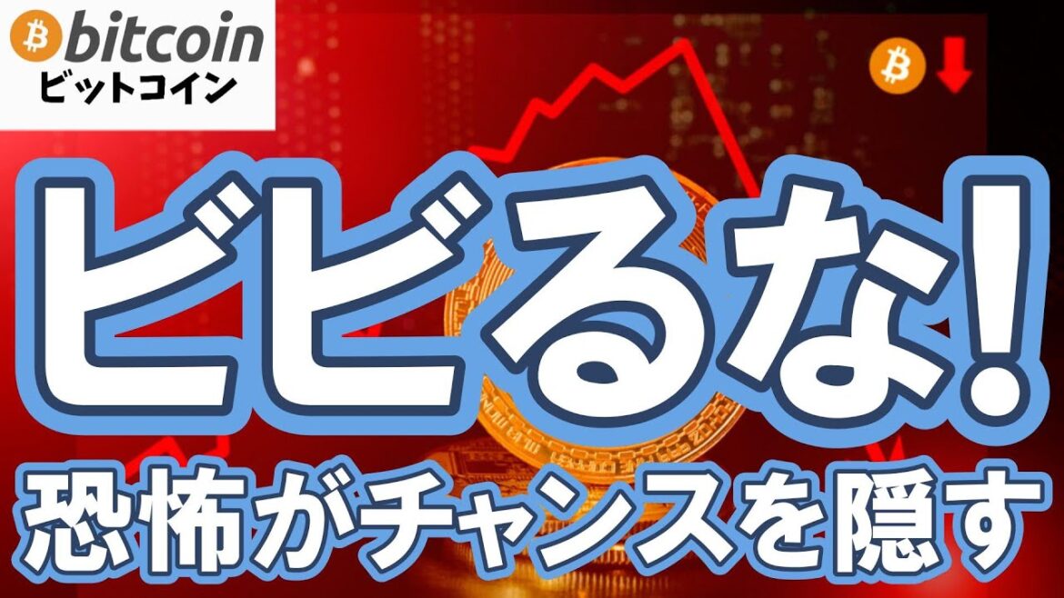 1762086729_maxresdefault-9703062-8718882-jpg