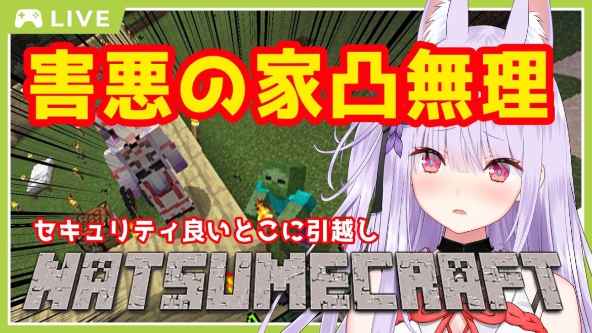 1762903445_maxresdefault-5394553-8431999-jpg