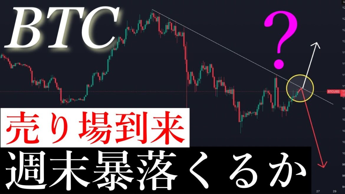 1763933891_maxresdefault-6437564-9153967-jpg