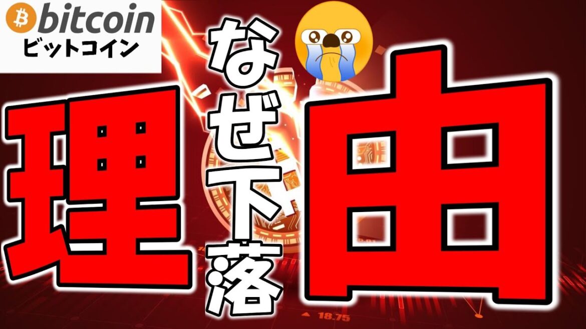 1763962747_maxresdefault-8190112-2506059-jpg