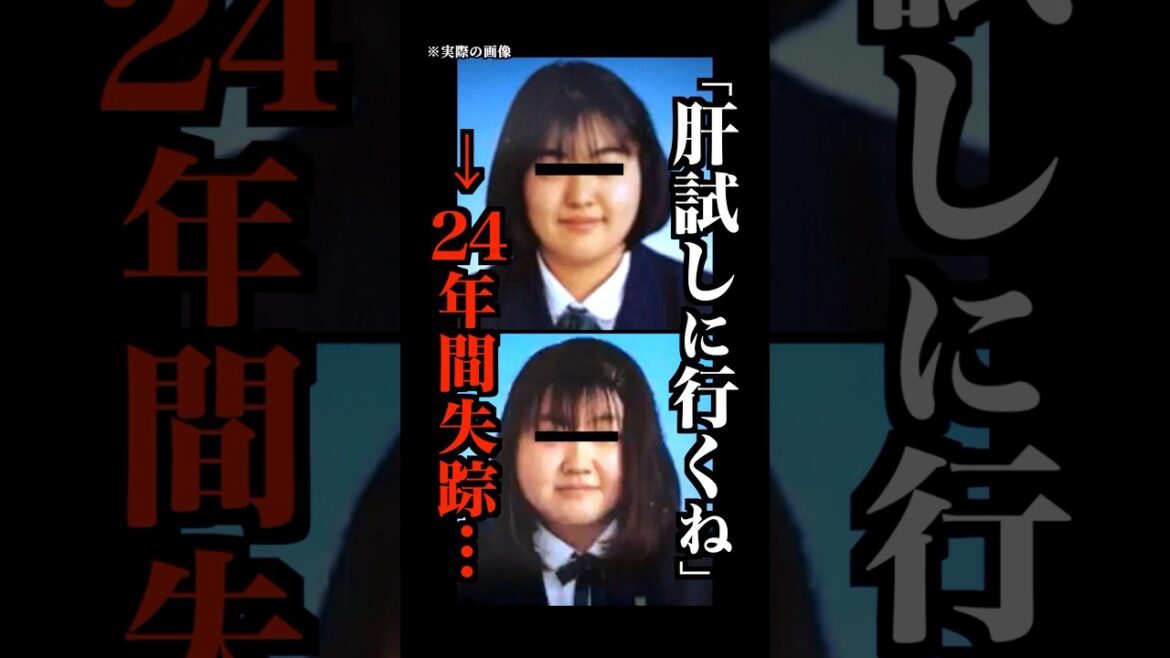 1764404591_maxresdefault-2828521-9383060-jpg