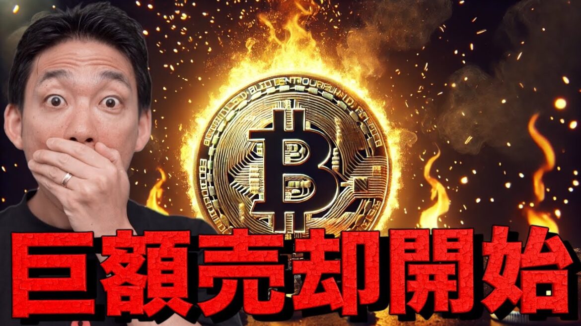 1765088535_maxresdefault-3686367-2829663-jpg