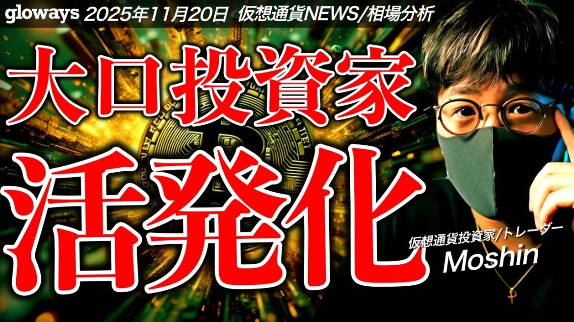 1765290648_maxresdefault-5734420-2358995-jpg