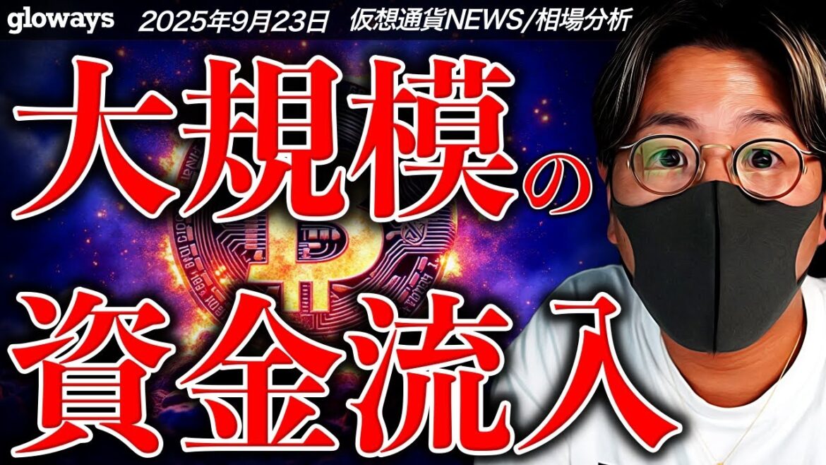 1766647605_maxresdefault-2290892-7930782-jpg