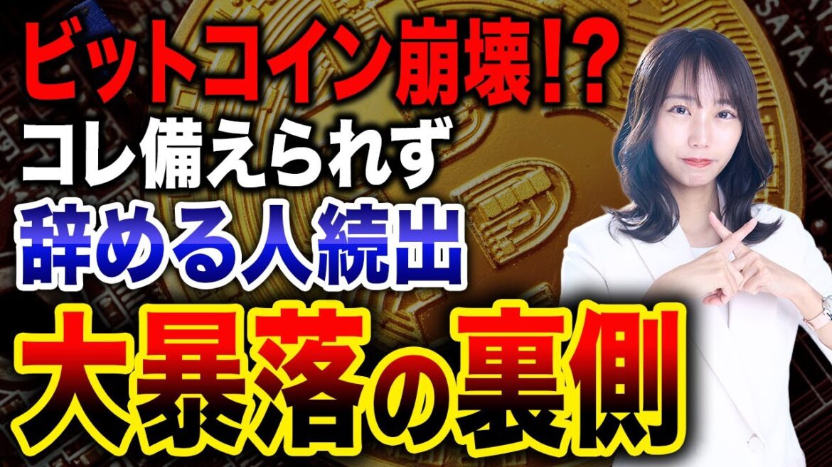 1766936247_maxresdefault-6676403-2364635-jpg