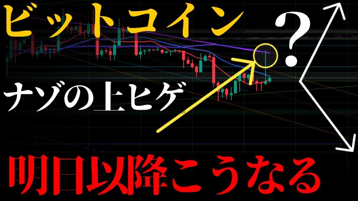 1768148506_maxresdefault-1935504-5760419-jpg