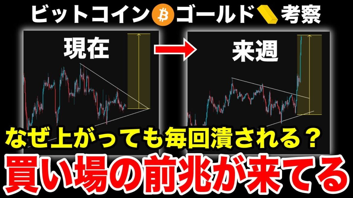 1768870211_maxresdefault-9169706-3562795-jpg