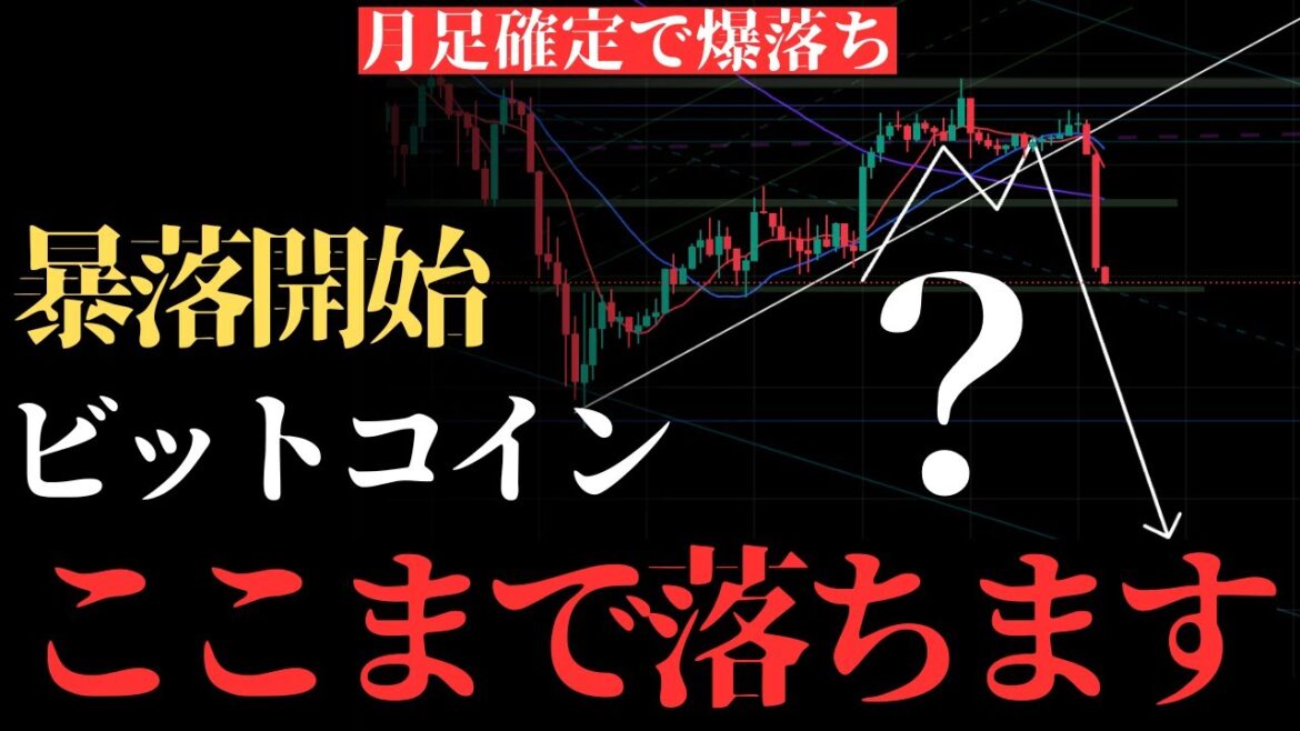 1770053644_maxresdefault-8421258-5515956-jpg