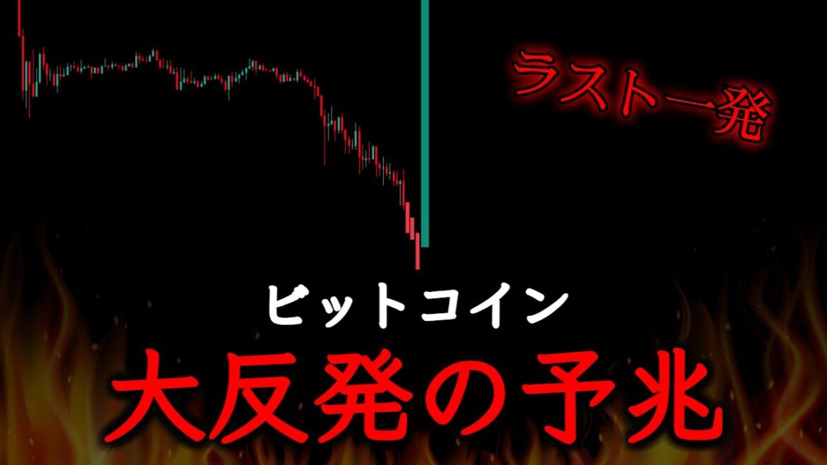 1770515563_maxresdefault-7925294-4116925-jpg