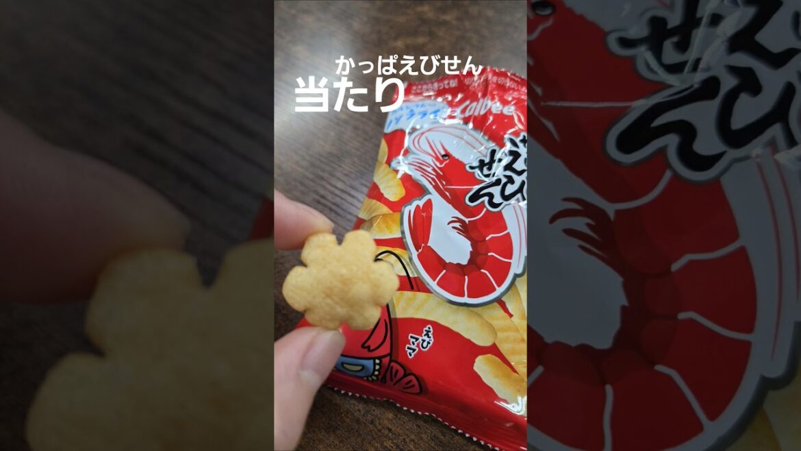 1770919383_maxresdefault-6273968-5267816-jpg