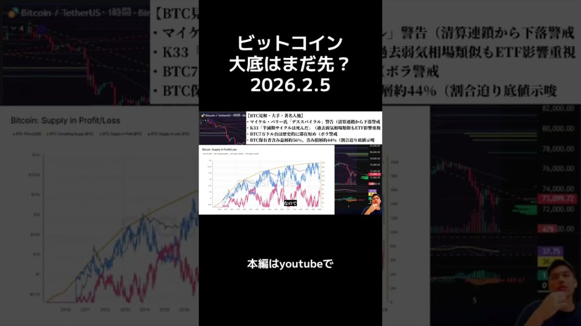 1771092953_maxresdefault-4852424-1028031-jpg