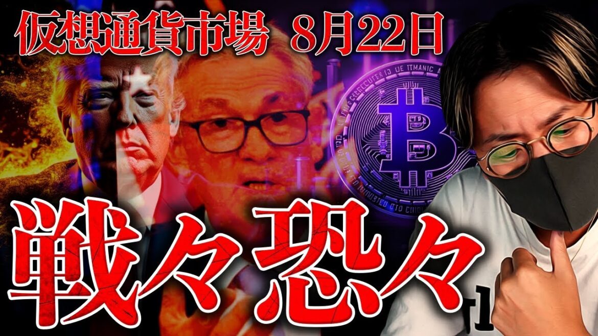 1771352704_maxresdefault-2968405-9078612-jpg