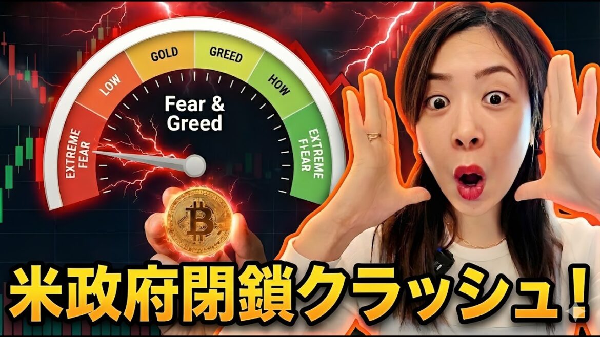 1771728002_maxresdefault-5813806-9125200-jpg