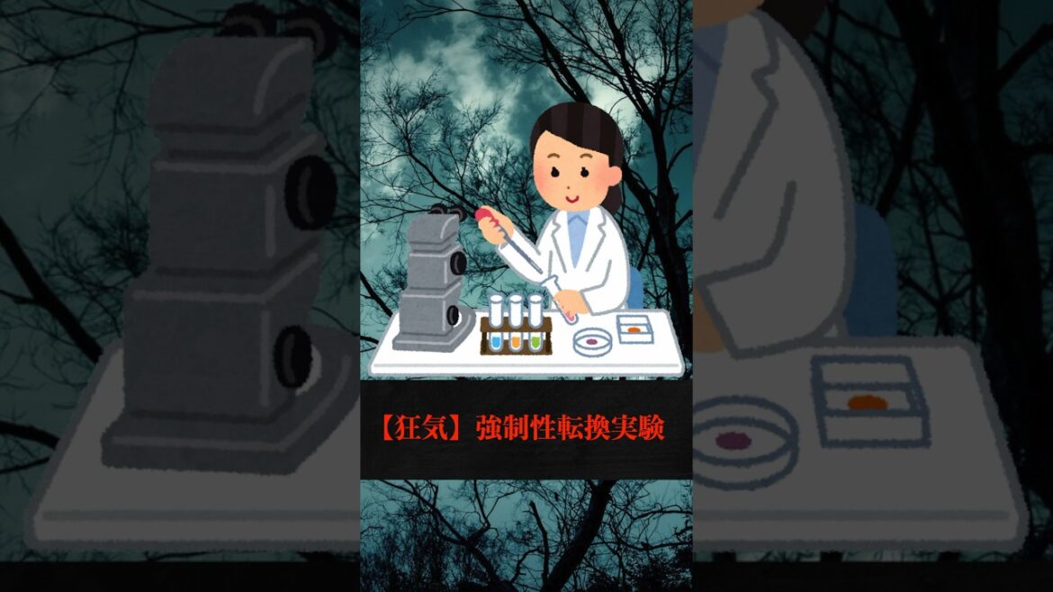 1771937856_maxresdefault-3321214-7621280-jpg