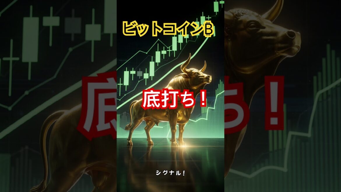 1773027164_maxresdefault-2191143-1639142-jpg