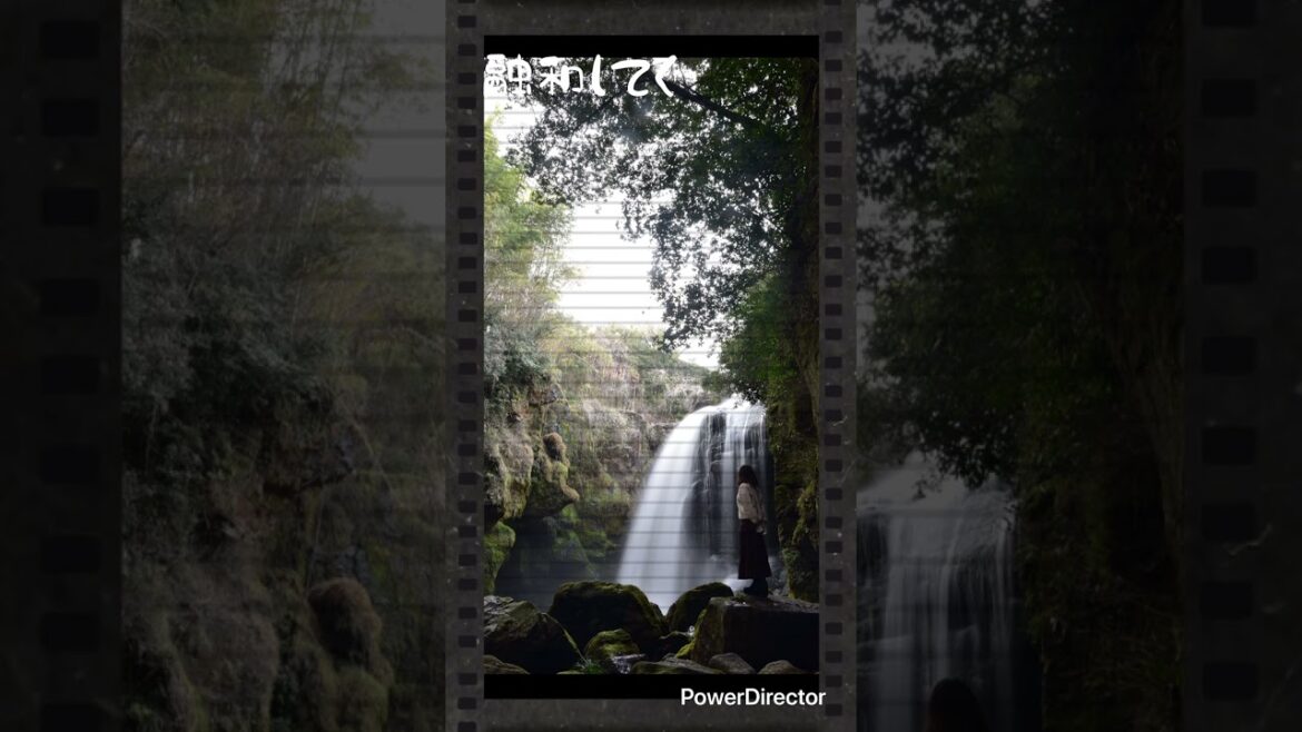 1774094039_maxresdefault-6889128-3795706-jpg