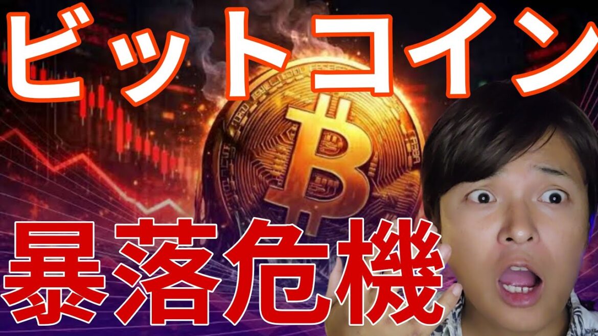 1774787993_maxresdefault-1356998-1888288-jpg