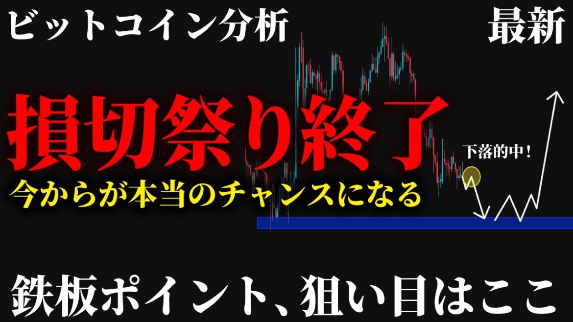 1775451834_maxresdefault-6088171-8943242-jpg