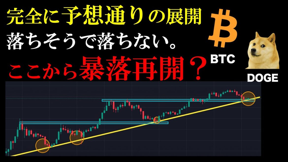 1776058600_maxresdefault-3525015-9639430-jpg