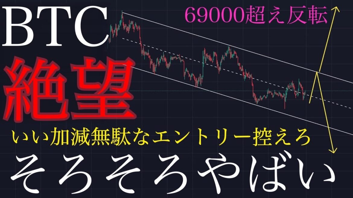 1776578131_maxresdefault-1704238-2795952-jpg